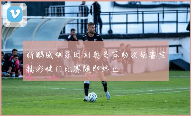新鹏城绝杀时刻奥乌苏助攻胡睿宝精彩破门比赛随即终止